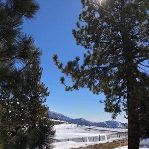 Meet your Posher, Gilbert